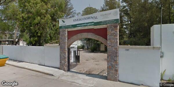 COMISIÓN NACIONAL FORESTAL